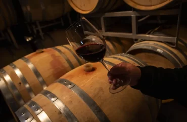 WM3QO6V6YZFQJIGDD5CV44PMIU